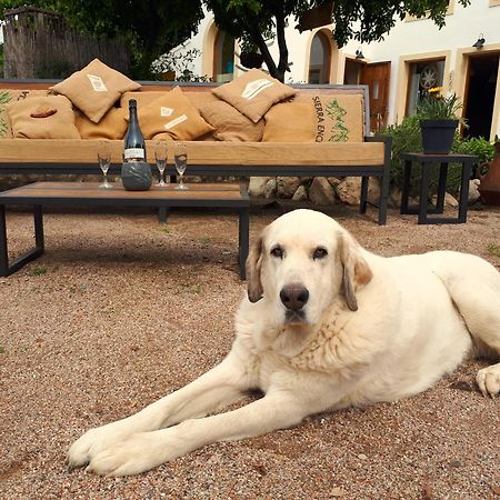 Maison d'hôtes Cal Pau Cruset à Torrellas de Foix Extérieur photo